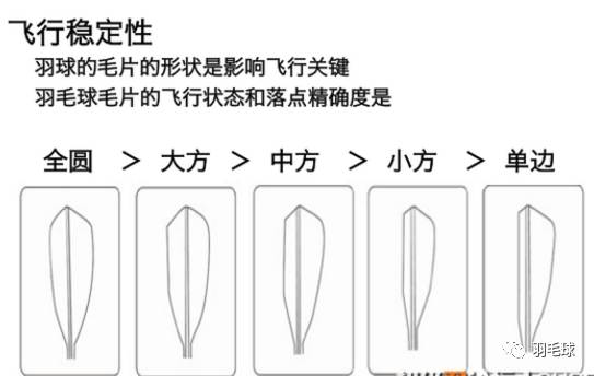 a08af35811a64db3a017ece856961497.jpeg