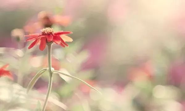 a351e24145f6493ebf92e80243f42f03.jpeg