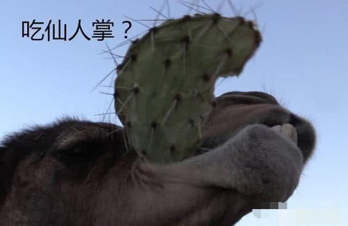 沙漠人口渴_人口渴简笔画(2)