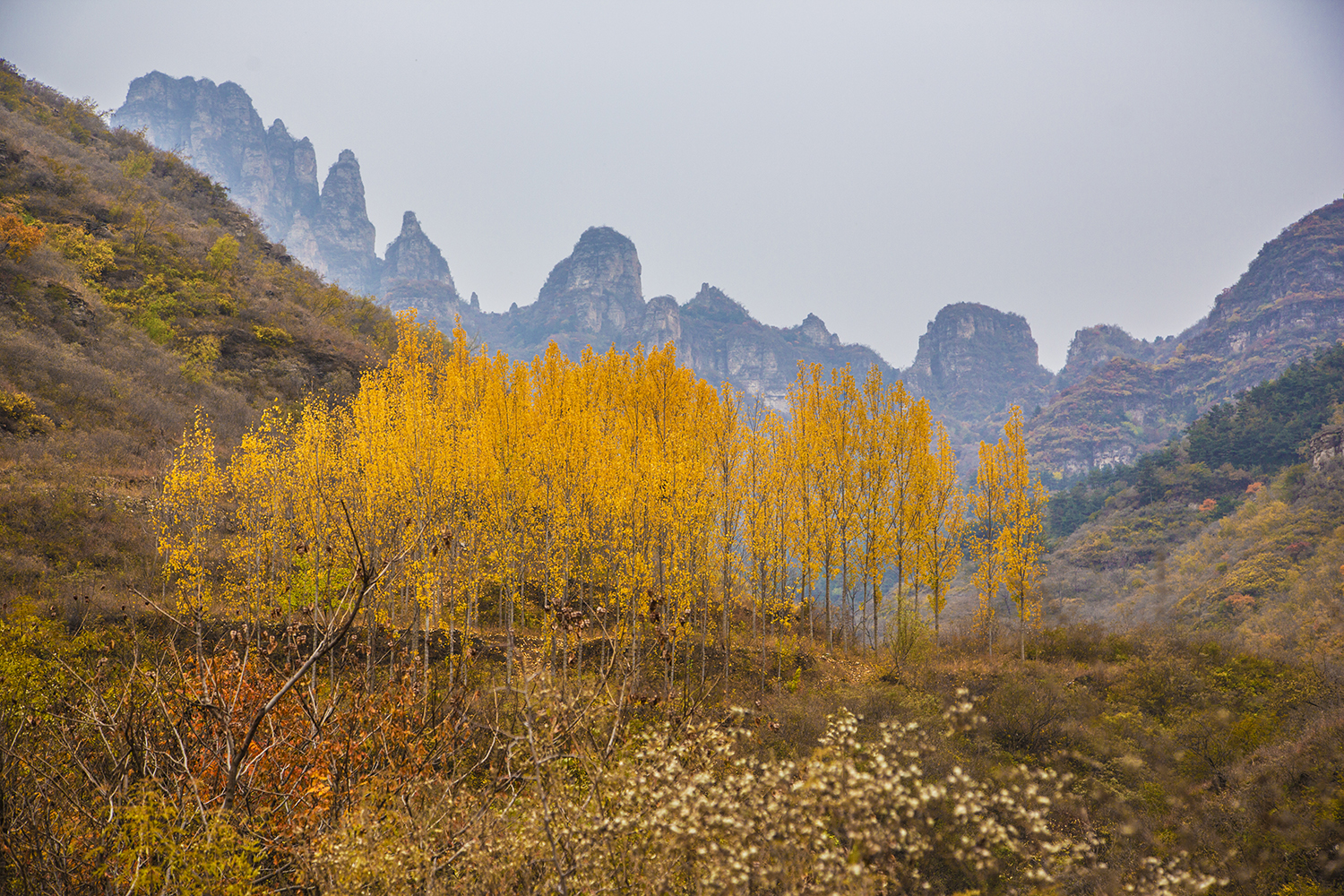 徒步狼牙山后山,登顶小莲花峰,感受秋天的景色