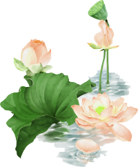 d4f032af708b470981177252d6ab2d0a.png