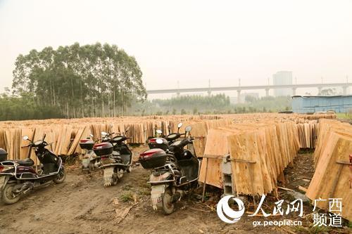 桂林铁路多方联动开展高铁环境安全综合治理行动