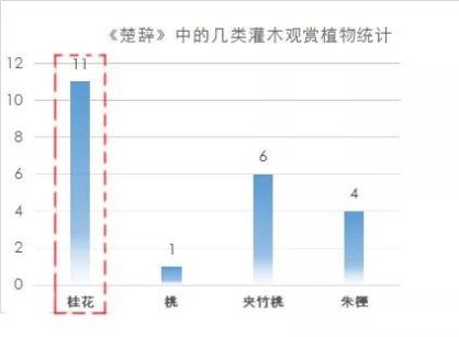 牡丹，为何战胜了桂花？