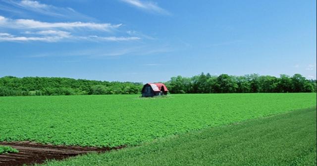 单反相机P档拍不了远景如何调