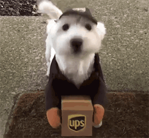 国外UPS公司推出的最新服务，让各种狗狗给客户送快递
