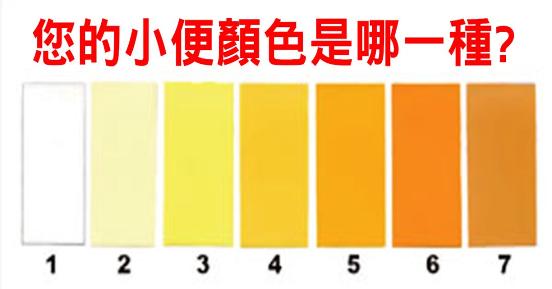080b84beadee451db8ef76ab64281ce8.jpeg