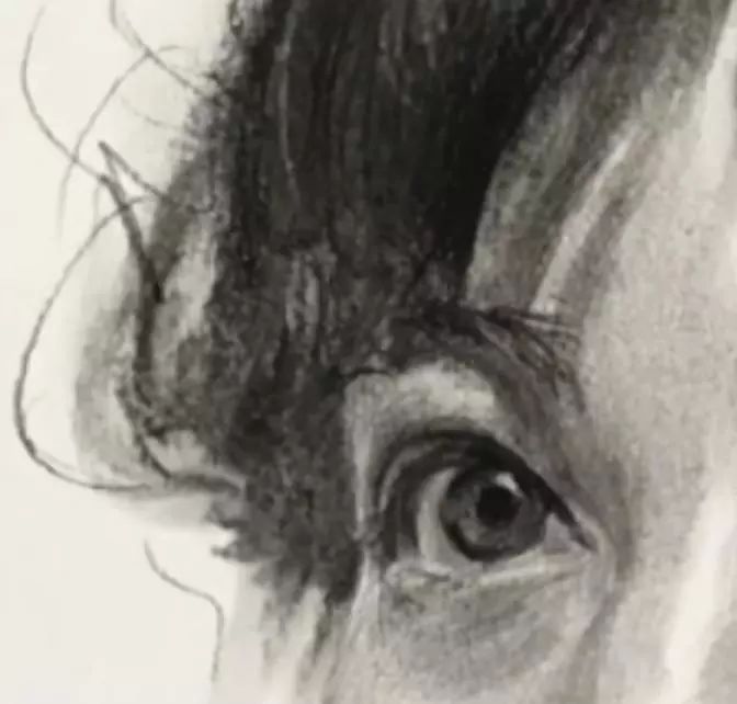 素描教学|朱传奇教你在女青年素描头像中处理亮部的过渡与衔接