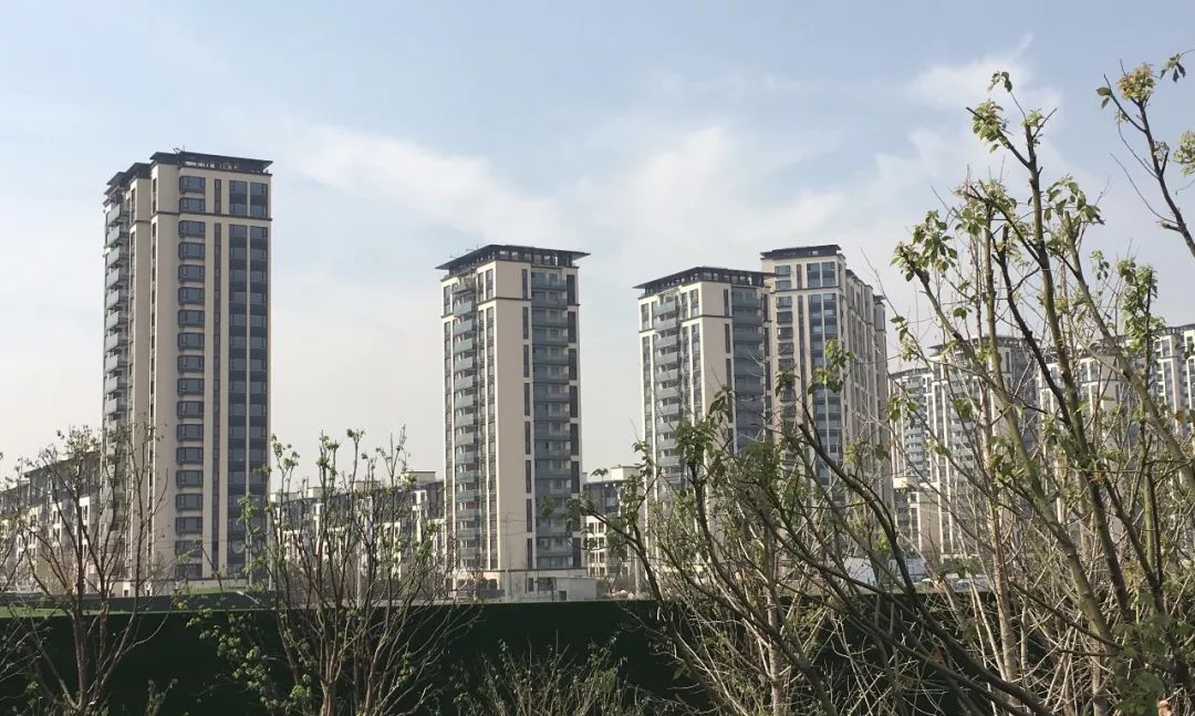 而西面一路之隔的,就是曾经的"万人摇"红盘华夏四季.