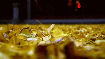 31d0e7aa4eb94f76b5d168783f04e55a.gif