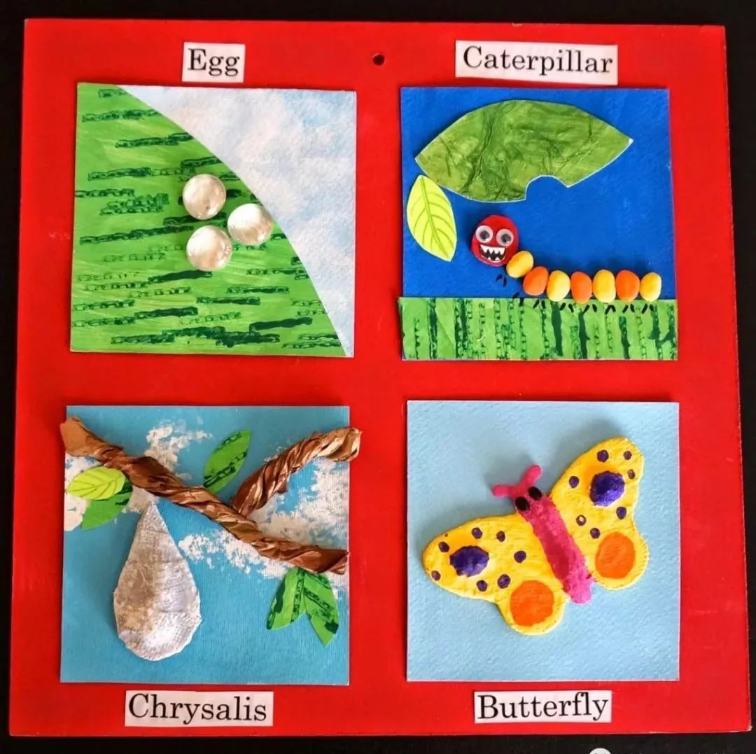 蝴蝶英语怎么讲 413063bebeb54f2d9270fcebf159a8ac.jpeg