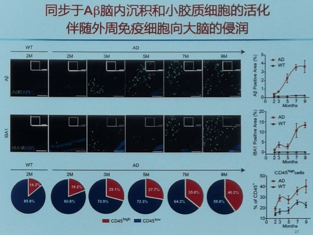 实验原理主要写什么作用_我是少年主要写什么(3)