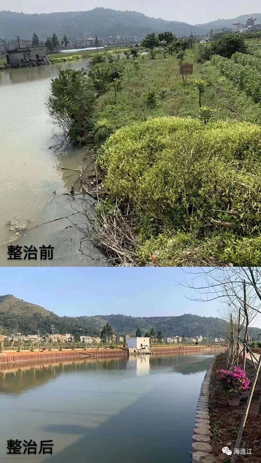 东岱镇人口_东岱镇洪塘镇实景(2)