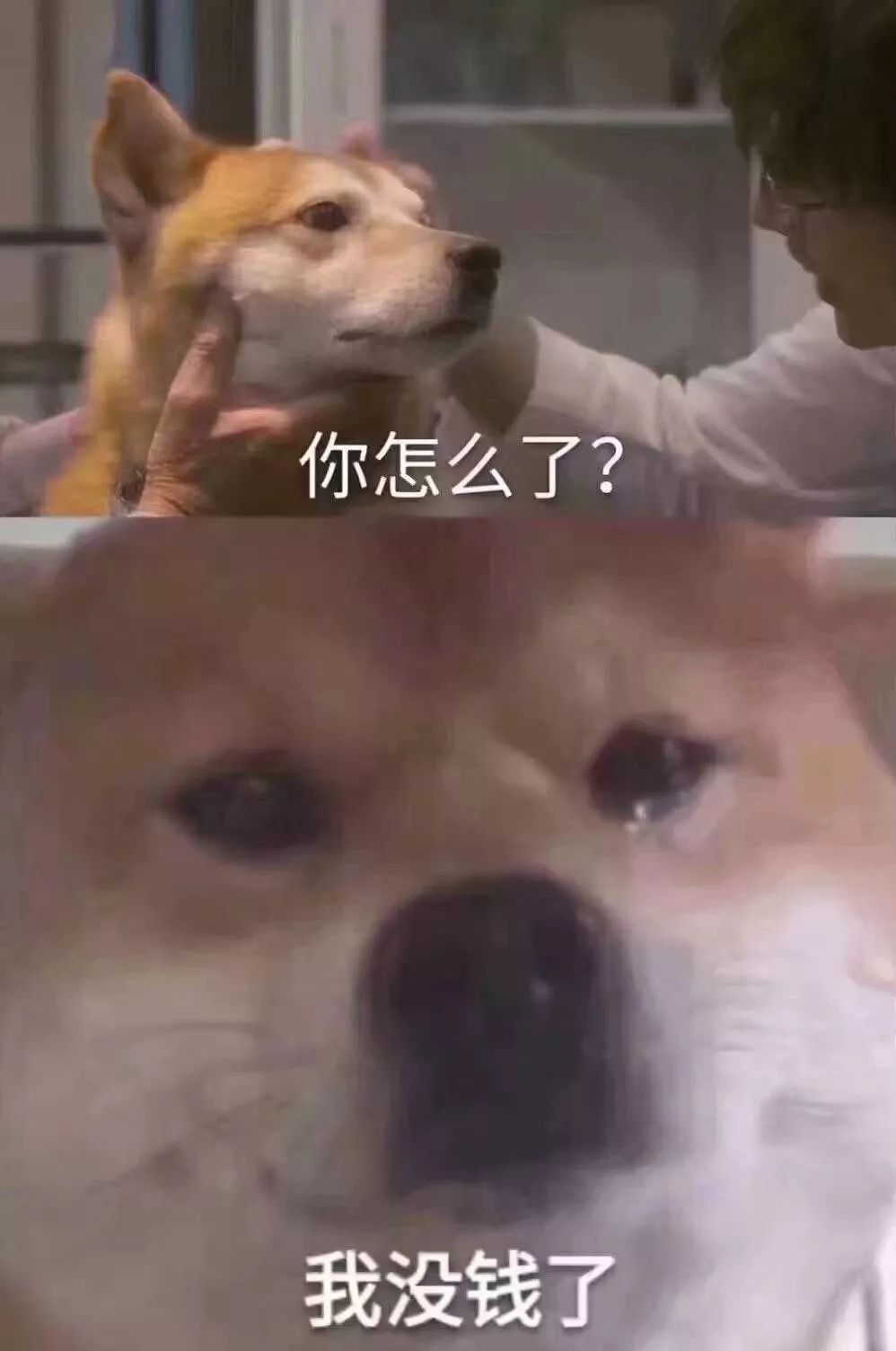 女儿 妈咪啊那个, 每逢月末 看一眼自己空空如也的钱包 再想着银行卡