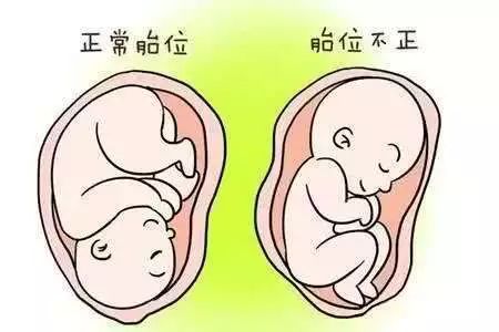 61719a8acbd94ed99217d2b0d8eba0a2.jpeg