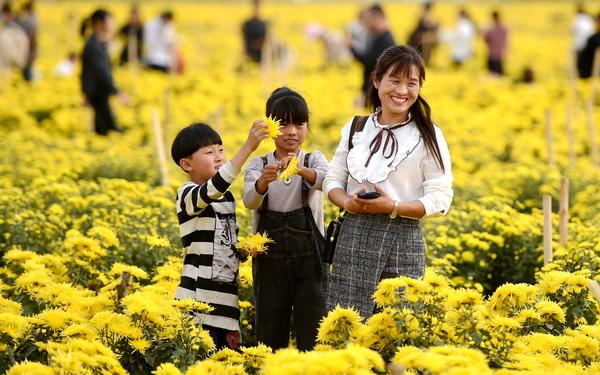 关津乡人口_新蔡县关津乡宋斌