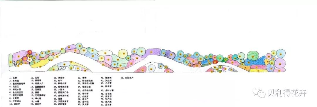 第三届中国花境竞赛贝利得参赛作品一览