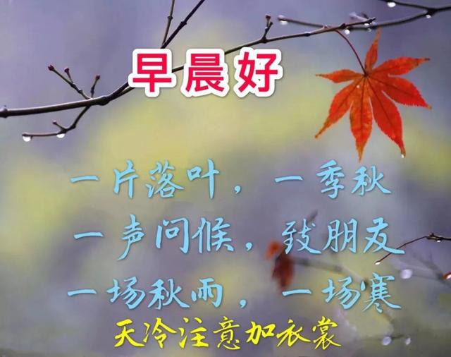 6ecbe9752346443f9b8a7fc02f449eaa.jpeg