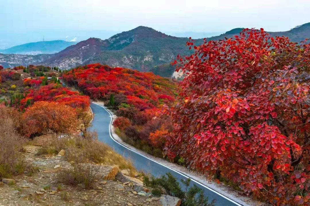 和尚房村地处原始古老峡谷之中,群山环抱,山清水秀