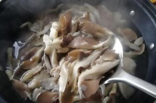 89d37df09a034e399ab17820d2c029b7.jpeg