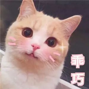 可爱卖萌猫咪表情包:走开!你丑到朕了