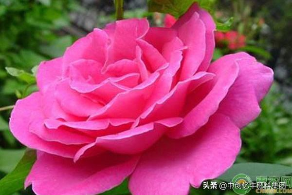90841a88f1c04ad09a4ff2ccaa17c1d2.jpeg