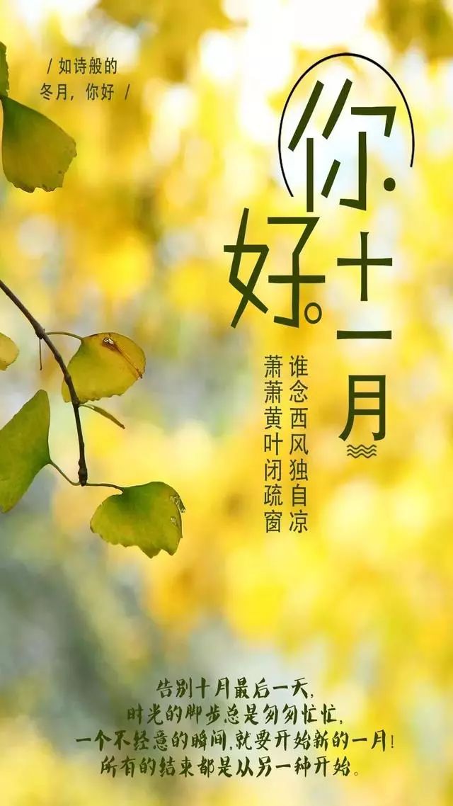 94f5ae92ffe94b22a24b8db6b4e87531.jpeg