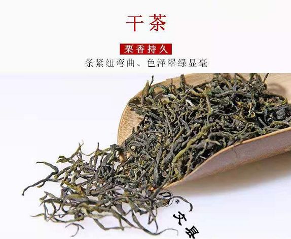 叶成县人口_甘肃陇南成县图片
