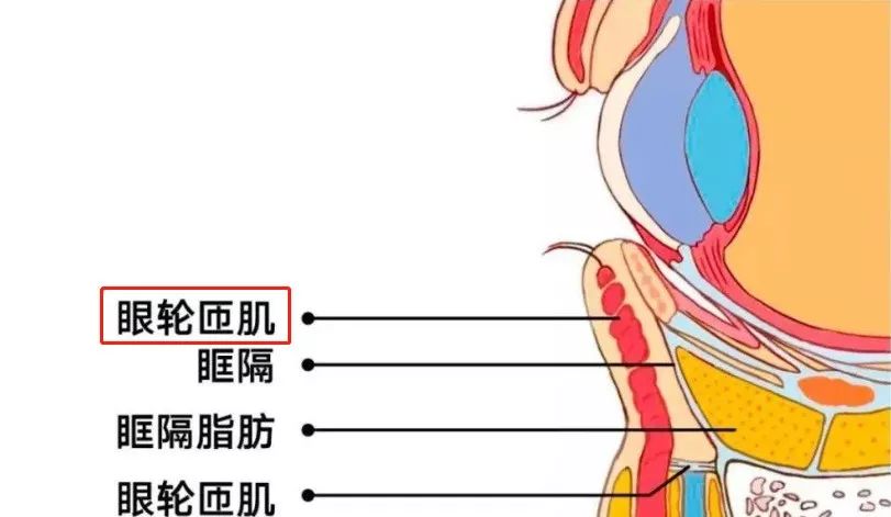 9cb1600b94d142f094ded1ad8ab631b4.jpeg