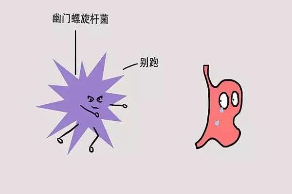 胃健康杀手——幽门螺杆菌,家庭成员之间要如何预防?