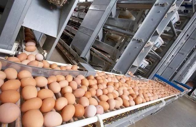 辣椒50块钱两个鸡蛋猜个成语_火跟山猜个成语(3)