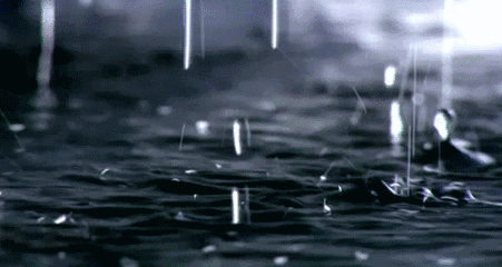 b4b2a0520e4b4855a3bdec820fa73808.gif
