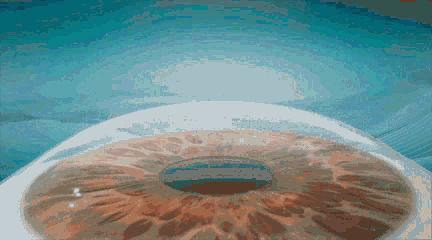 bddfb301762b4e16a33f8f113dff2825.gif