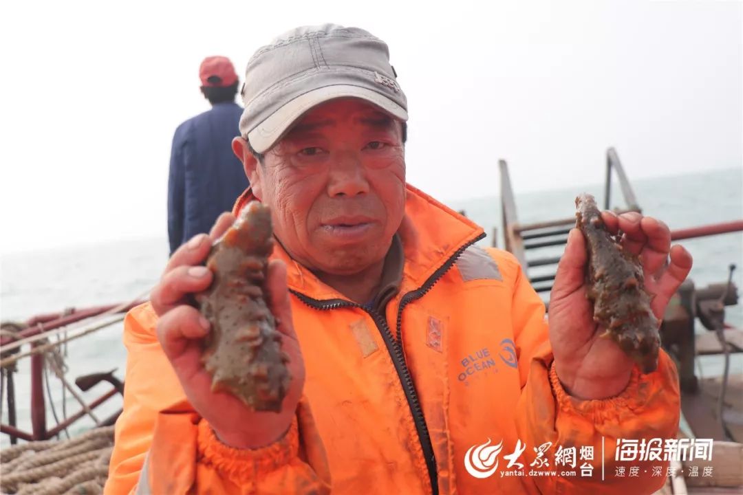 跟随"海猛子"的脚步,探秘六十里"野生海参!