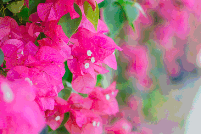 有3个坏消息和8个好消息告诉你.