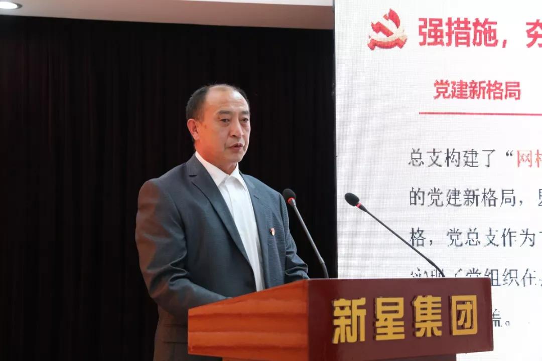 新星集团董事长_新星集团(3)