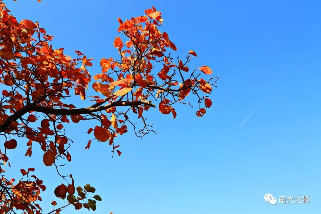 06d84ab4ac2a408cb09e1403fd1f4f58.jpeg