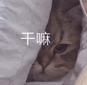 表情再累再困书得看不然考试怎么办沙雕表情包