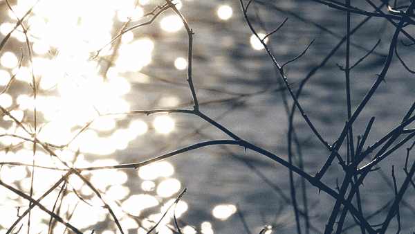 0a219f3244e94f509a520e428428485a.gif