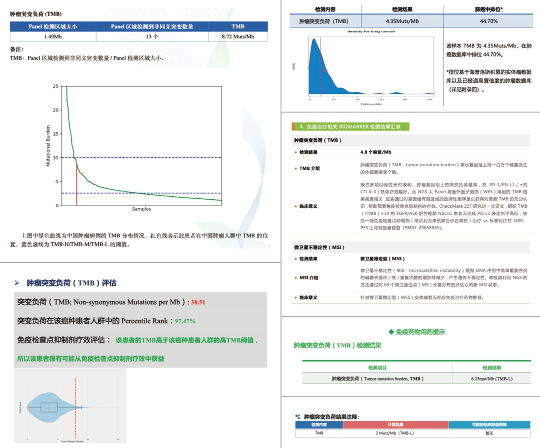 肿瘤NGS基因检测报告的解读要点
