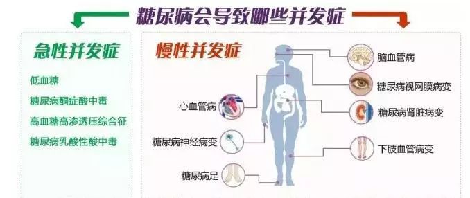 体脂称什么原理测内脏脂肪_内脏脂肪(3)