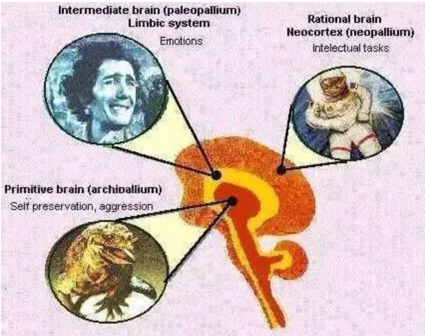 1949fedefa244baca6b099274ba9da94.jpeg