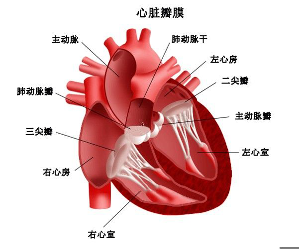 20bf3ab58037422e91600f9a81f39d40.png