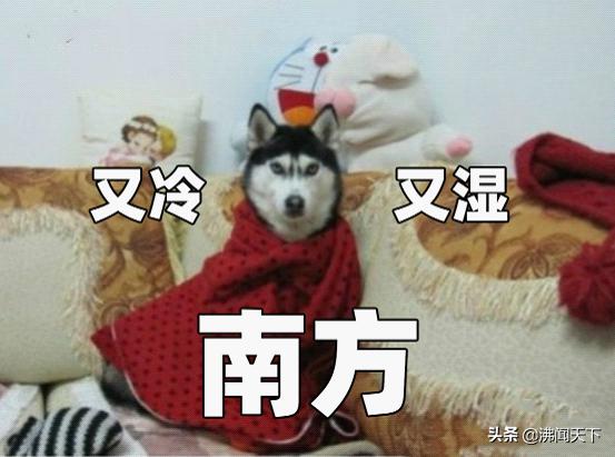 46ab937f94004f3991b731a6ad38d9f4.jpeg