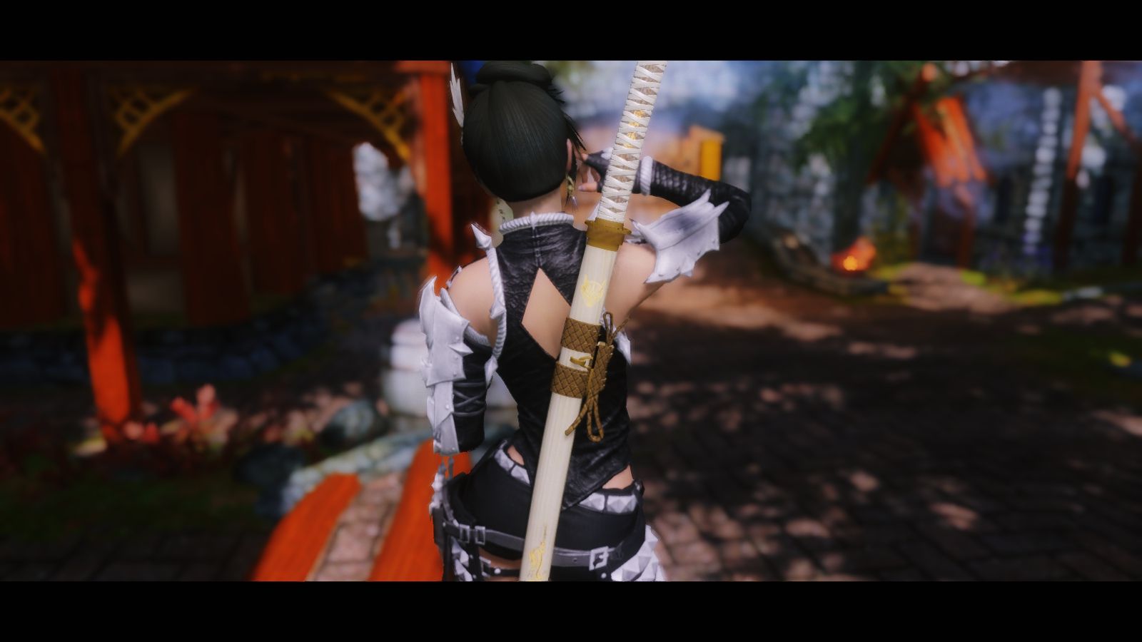 上古卷轴5：游戏中的职业应该怎样搭配才好玩，你知道吗？_搜狐网