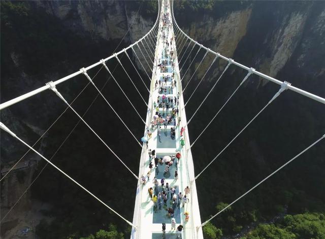 中國景區瘋建玻璃棧橋，全國有2000座，4D互動讓遊客“嚇破膽”，搖錢樹面臨整治  旅遊 第1張