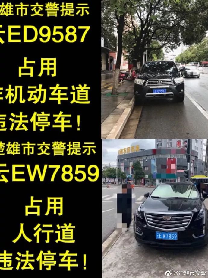 2021楚雄市市区人口_楚雄市市区地图(2)