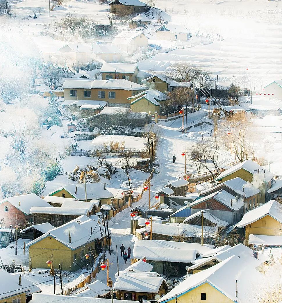 【全国招募】雪韵东北之童话雪乡 梦幻家园 二浪河 镜泊湖 中国虎园