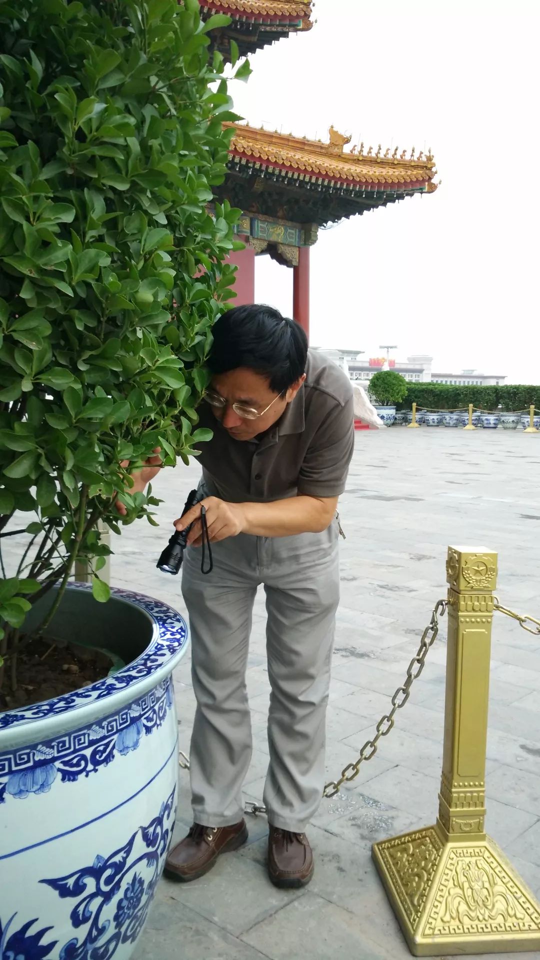 请为北京市疾控中心曾晓芃参评中国好医生投票