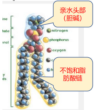 GDP胆碱_中国gdp增长图