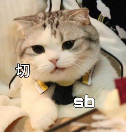 61cf865738e0469cbeba3e720b53ea50.jpeg